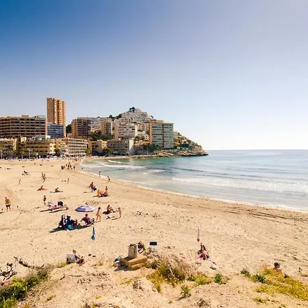 Azaleas Benidorm *