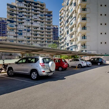 Azaleas Benidorm *